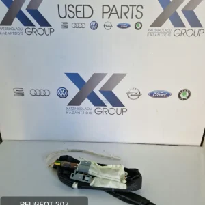 PEUGEOT 207 2006-2010 ΑΕΡΟΣΑΚΟΣ ΚΟΥΡΤΙΝΑ ΟΔΗΓΟΥ 6950247780