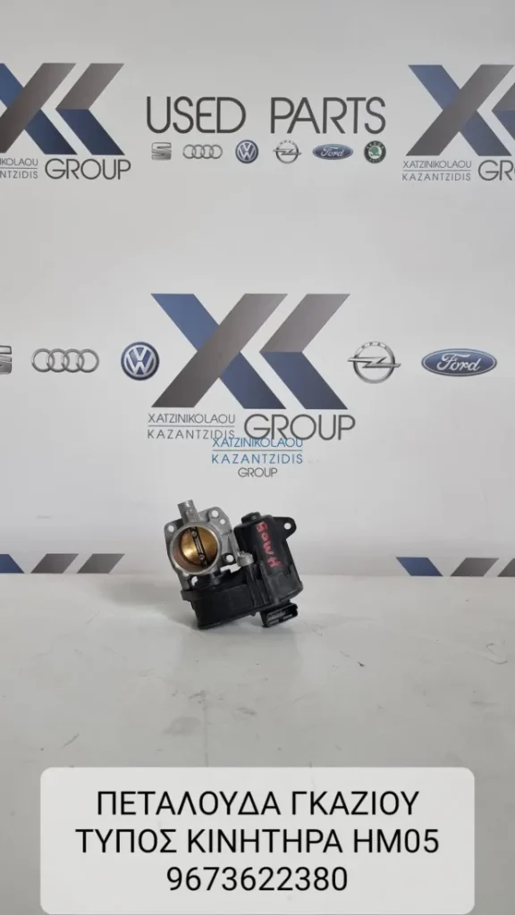 PEUGEOT 208 2019-2024 ΠΕΤΑΛΟΥΔΑ ΓΚΑΖΙΟΥ ΚΩΔΙΚΟΣ ΑΝΤΑΛΛΑΚΤΙΚΟΥ 9673622380