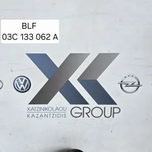 VW GOLF 5 ΠΕΤΑΛΟΥΔΑ ΓΚΑΖΙΟΥ ΚΩΔΙΚΟΣ 03C 133 062 A